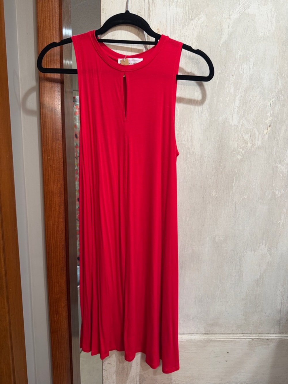 Double Zero Sleeveless Red Mini Swing Dress